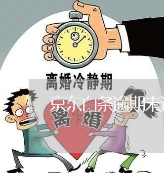 京东白条逾期未还 锁定了 京东白条逾期未还 锁定了
